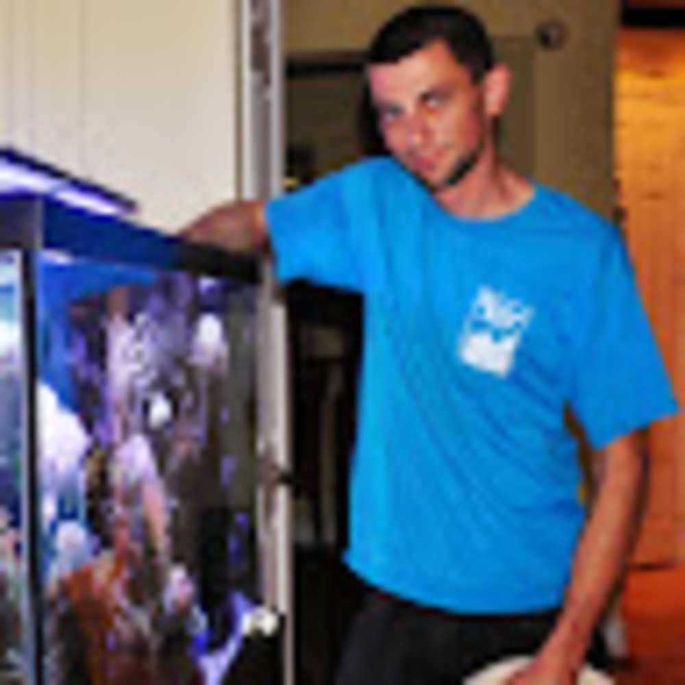 Meet your Posher, Collective